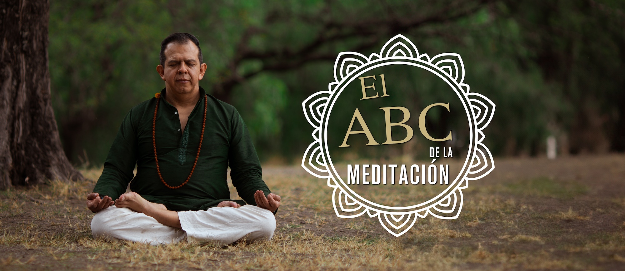 Header Cursos
