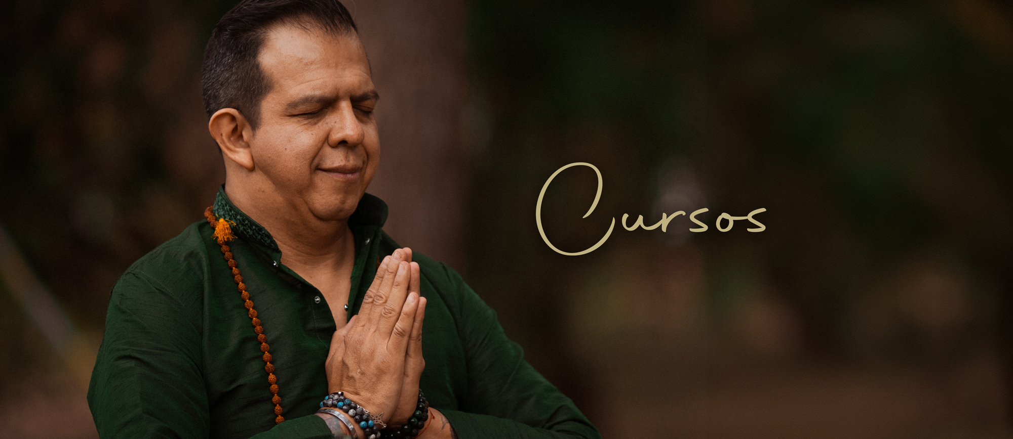 Header Cursos